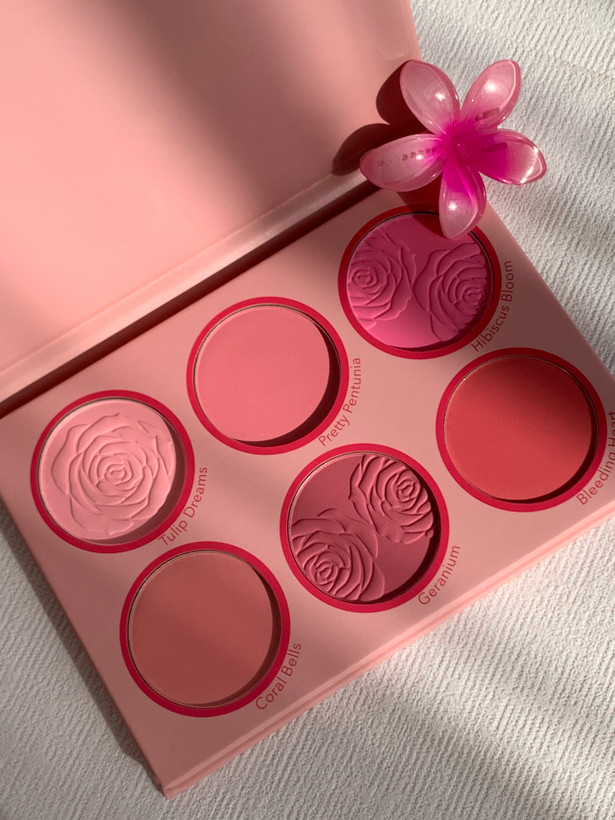 پالت رژ گونه 6 تایی شیگلم blushing bouquet